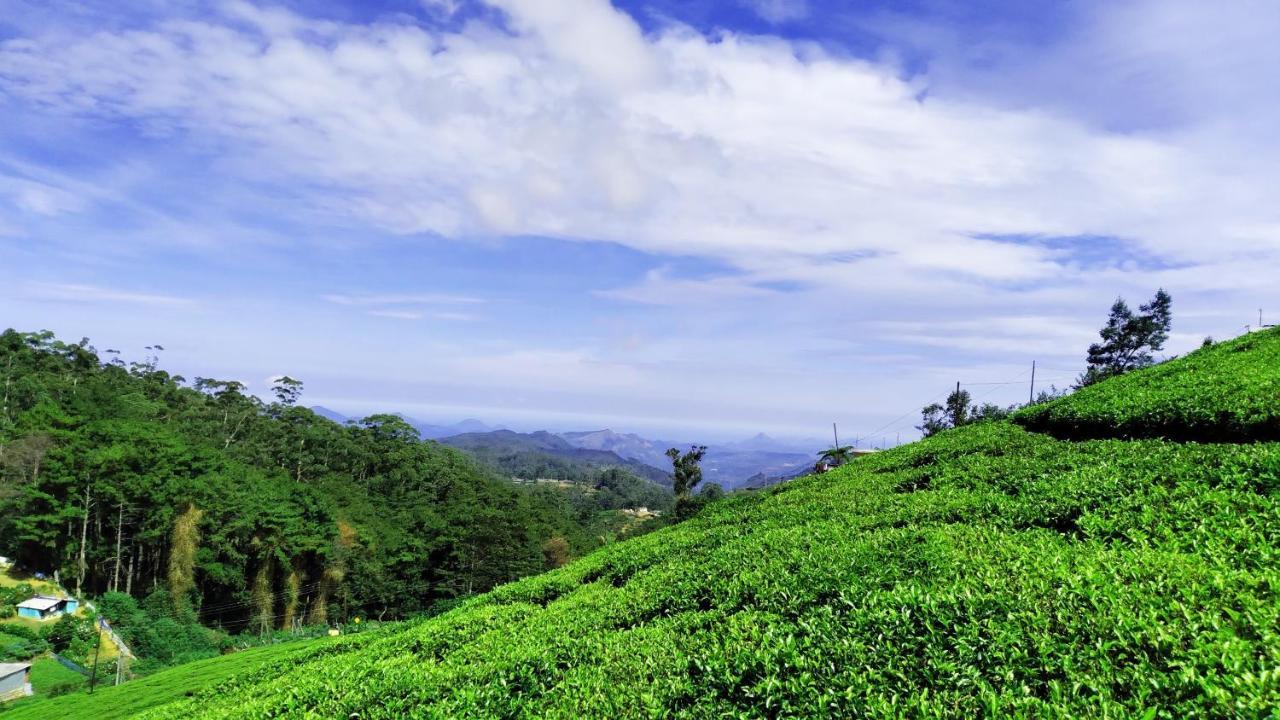 The Royal Terrace Holiday Bungalow Bed & Breakfast Nuwara Eliya Luaran gambar